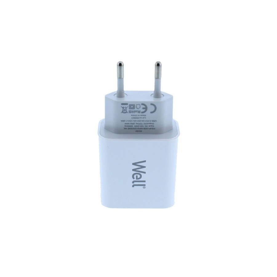 Universal USB-C FastTravel Wall Charger 5VDC/3A (20W) Λευκό Well PSUP-USB-WPD12003WE-WL - Image 2