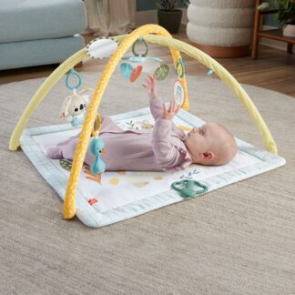 Fisher-Price Sensimals Simply Senses Newborn Gym (HRB15) (FISHRB15)